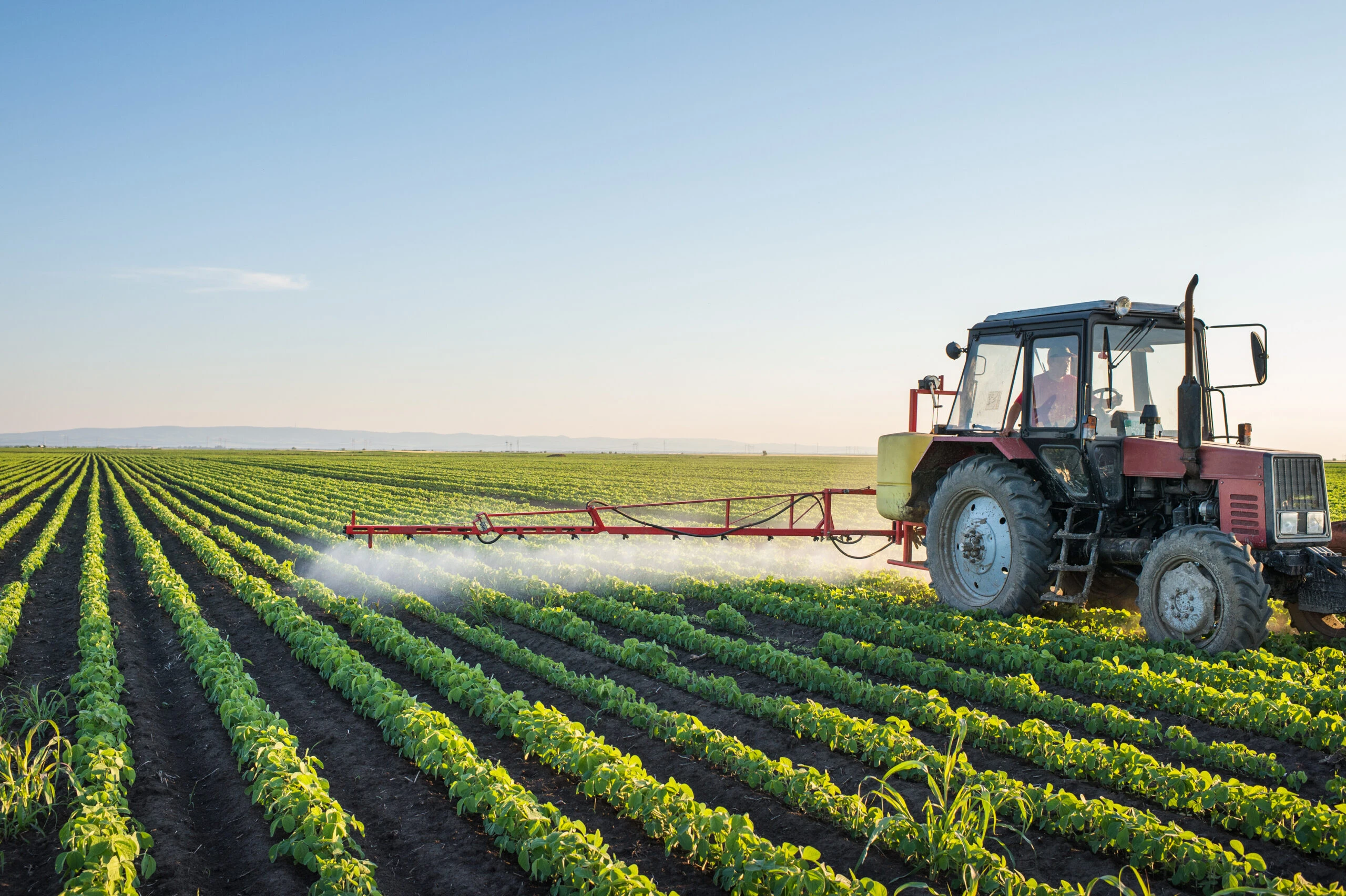 Diplomado en Manejo Integrado de Plagas y Enfermedades Agrícolas